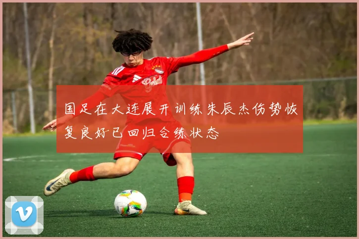 国足在大连展开训练朱辰杰伤势恢复良好已回归合练状态